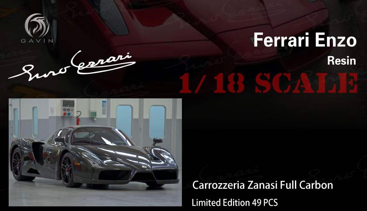 Gavin Ferrari Enzo 1/18